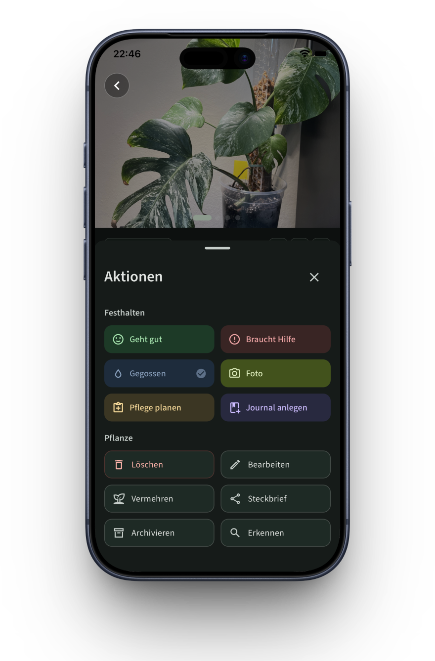 Planty Plants App – Journal